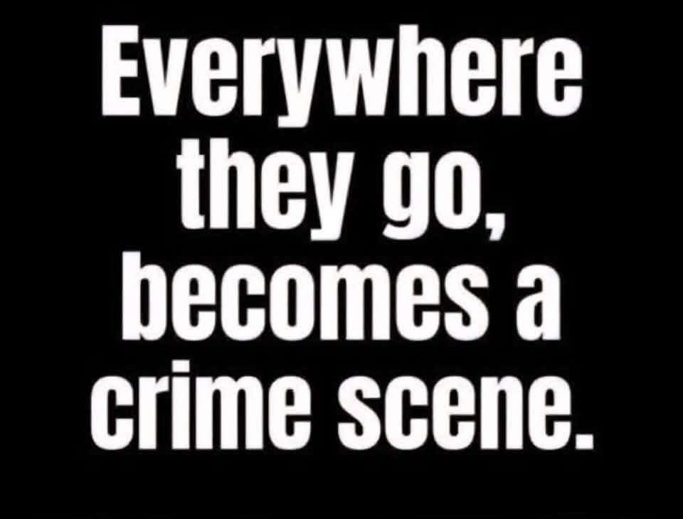 codfishandfries's tweet photo. @D_onald_trump47 https://t.co/PIY914WFdi