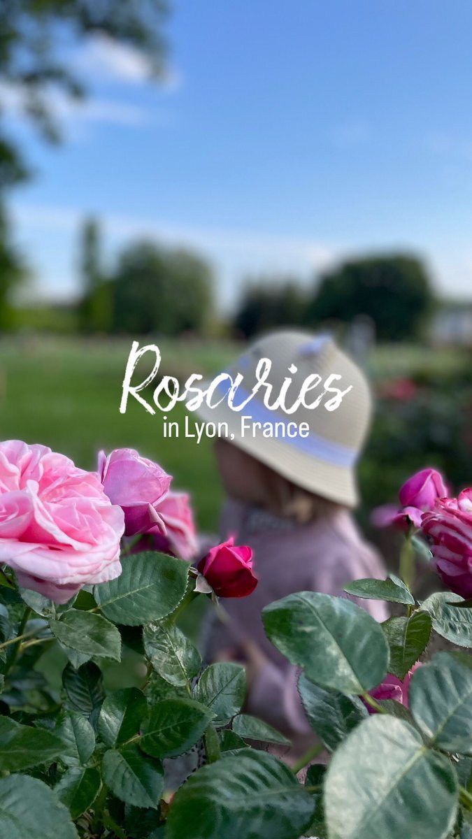 ReubenWorlfol's tweet photo. Lyon, the French capital of roses. In Tête d’Or Park, discover the rose competition garden and the International Rose Garden, home to France’s finest varieties. https://t.co/3OWEhwdcJG