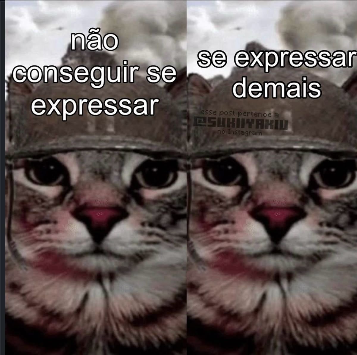 shitpostverdade's tweet photo. https://t.co/XAUEcJzTOD