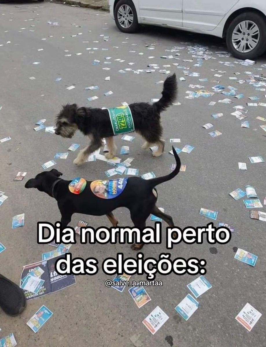 shitpostverdade's tweet photo. https://t.co/8wXYAEZJZf