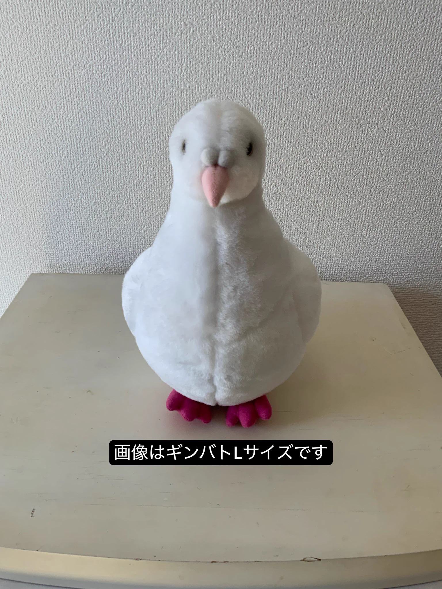 ぬいぐるみの童心【公式】🥺 on X: 