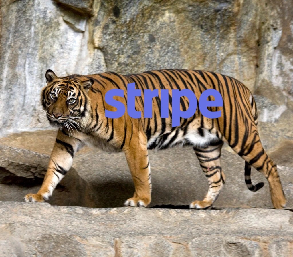 FinTechIreland's tweet photo. @Paul__Walsh Ah, so a tiger cannot really change its Stripe? https://t.co/MIp6GGbZPK