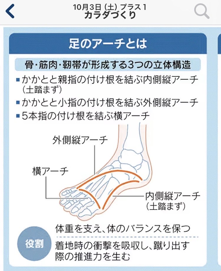 ActivecsOkimoto's tweet photo. 日本経済新聞の記事

足のアーチ
崩れると疲労や不調..._φ(･_･メモメモ https://t.co/S6V2RQyVoe