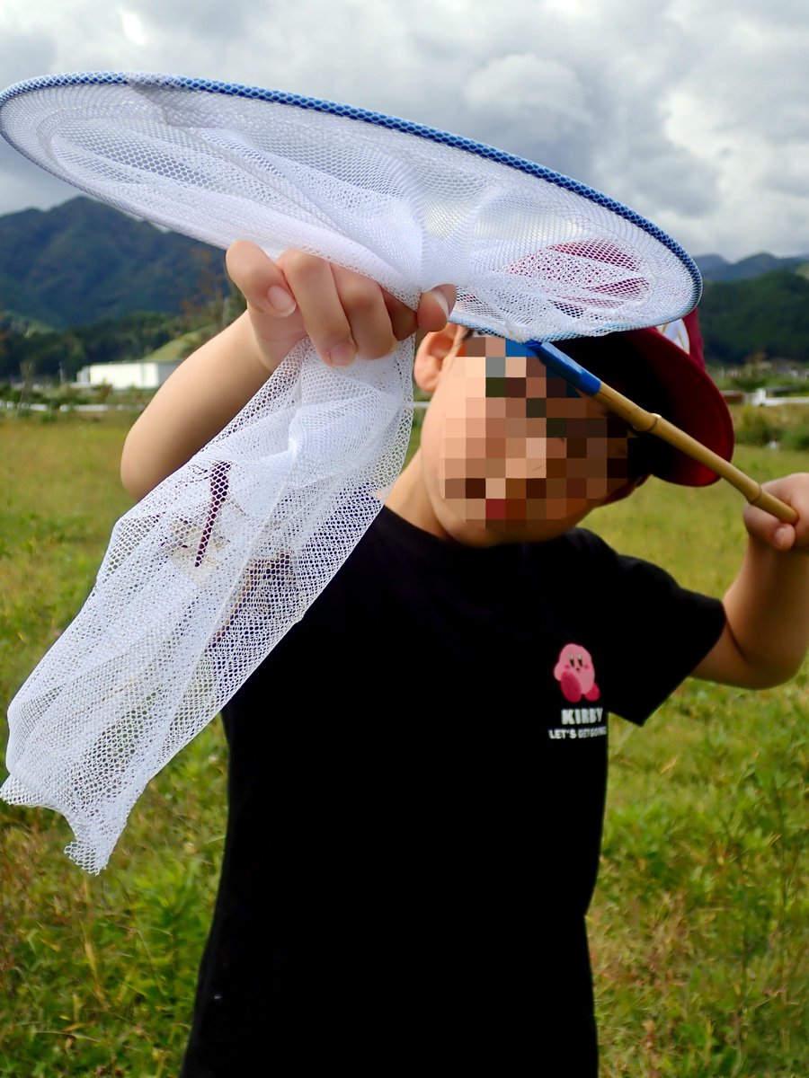 big_13's tweet photo. みのすけキッズ チャレンジデー！
外来種（セイタカアワダチソウ）の駆除や生き物探し♪ https://t.co/xZWkcKN9US