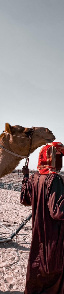 Ittsspark's tweet photo. الــحــسـا❤️🌴🐪
(أحساءُ) كم مرةً أنجبتِني؟
فلقد نسيتُ من كثرة الميلاد كم عددي! https://t.co/TFgtIsPoLm