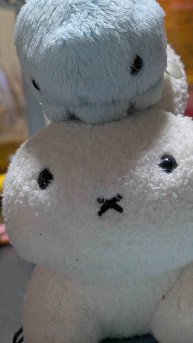 umen_menn's tweet photo. う���のかわいい権左衛門とカツオノエボシを見てくれ https://t.co/qBZk9vyTvU