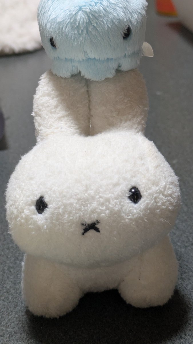 umen_menn's tweet photo. う���のかわいい権左衛門とカツオノエボシを見てくれ https://t.co/qBZk9vyTvU