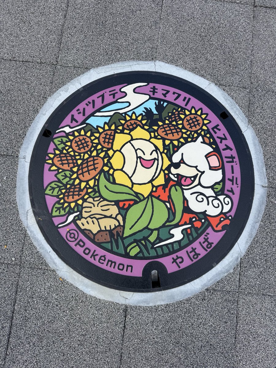 Kiyoshi_zero's tweet photo. 矢幅のポケふた https://t.co/o4WCc8T22m