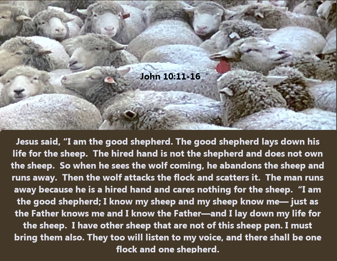 gourdonville's tweet photo. Jesus' #parables #2 - The Good #shepherd - #bibleverse #biblestudy #JesusSaves #JesusLovesYou
https://t.co/UdXV5gsM88 https://t.co/XtO5AjRuzZ