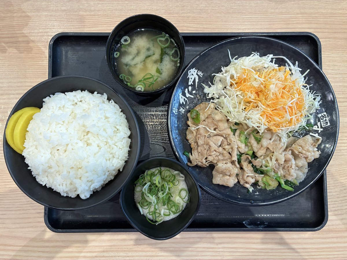 Stargate_2050's tweet photo. “Salt-Flavored Stamina Set Meal” 塩スタミナ定食“
Legendary Stamina-Don Shop (Originating in Tokyo)
Note: A taste of pure bliss! It's the best! Dig in and enjoy hearty mouthfuls!
#新東名清水PA https://t.co/O4Ro6UOZEH