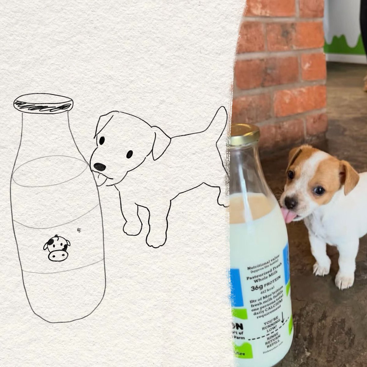 twaniimals's tweet photo. https://t.co/zlEIArF5FJ