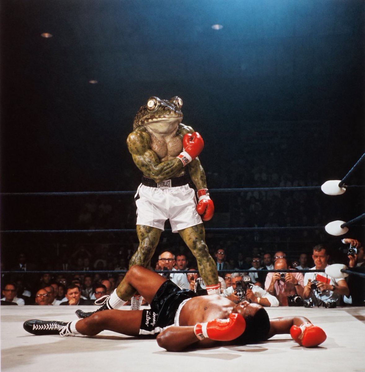 funnymoneycap's tweet photo. @BitcoinChina_ @frongcommunity $frong is ready https://t.co/J93n6Os84A