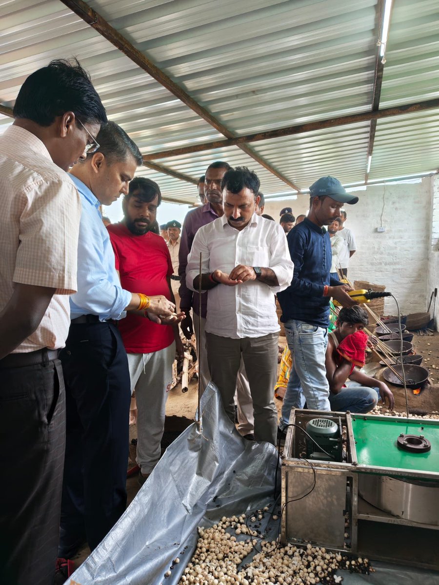 AgriGoI's tweet photo. From Mithila Fields to Urban Markets! 🌾🌰 

Mithila Kisan Utpadak Sangathan Swavlambi Sahakari Samiti Ltd. #FPO from #Darbhanga #PMDhanDhaanyaKrishiYojana district #Bihar cultivates & processes Makhana adding value to local produce, stronger market linkages & better opportunities farmers.
@NITIAayog

📞 Contact: Sh.Amar Kumar Mukhiya 9811658352

🛒 Click to buy products directly from the FPO
https://t.co/22vsu9LOa6

#DDKY #SuperFood #Foxnut #ValueAddition #FarmerIncome