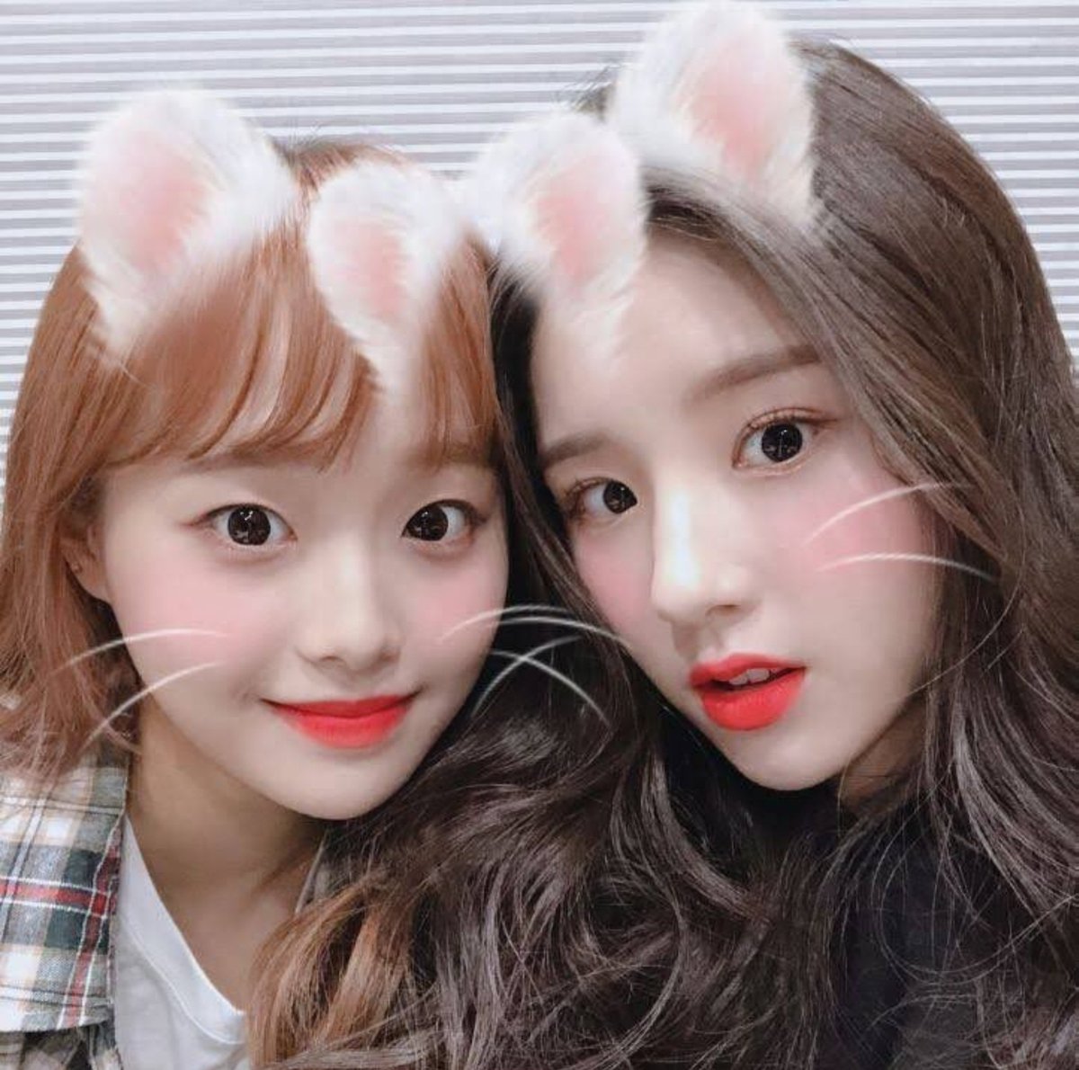 xiuaeh's tweet photo. Dia 30 buscando mutis
DNI: Armys, personas que no esten en un subtwt
#shedtwt #edrtwt #animetwt #kpoptwt #suicidetwt #promotwt #mutis #subtwt #slittwt #loonatwt https://t.co/3T2GNQthqd