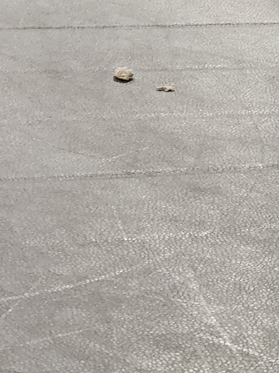 juw_l's tweet photo. Another Goodlife Fitness L. Shortly after they announce Hyrox coming, horse dung is on their stretch zone. I told them and they said they'd be right on it. Its been close to 30 mins. Time to look for another  gym membership. $60-80 for "shit" service.
@MoistCr1TiKaL 
@amirxodom https://t.co/UgLO94y0KH