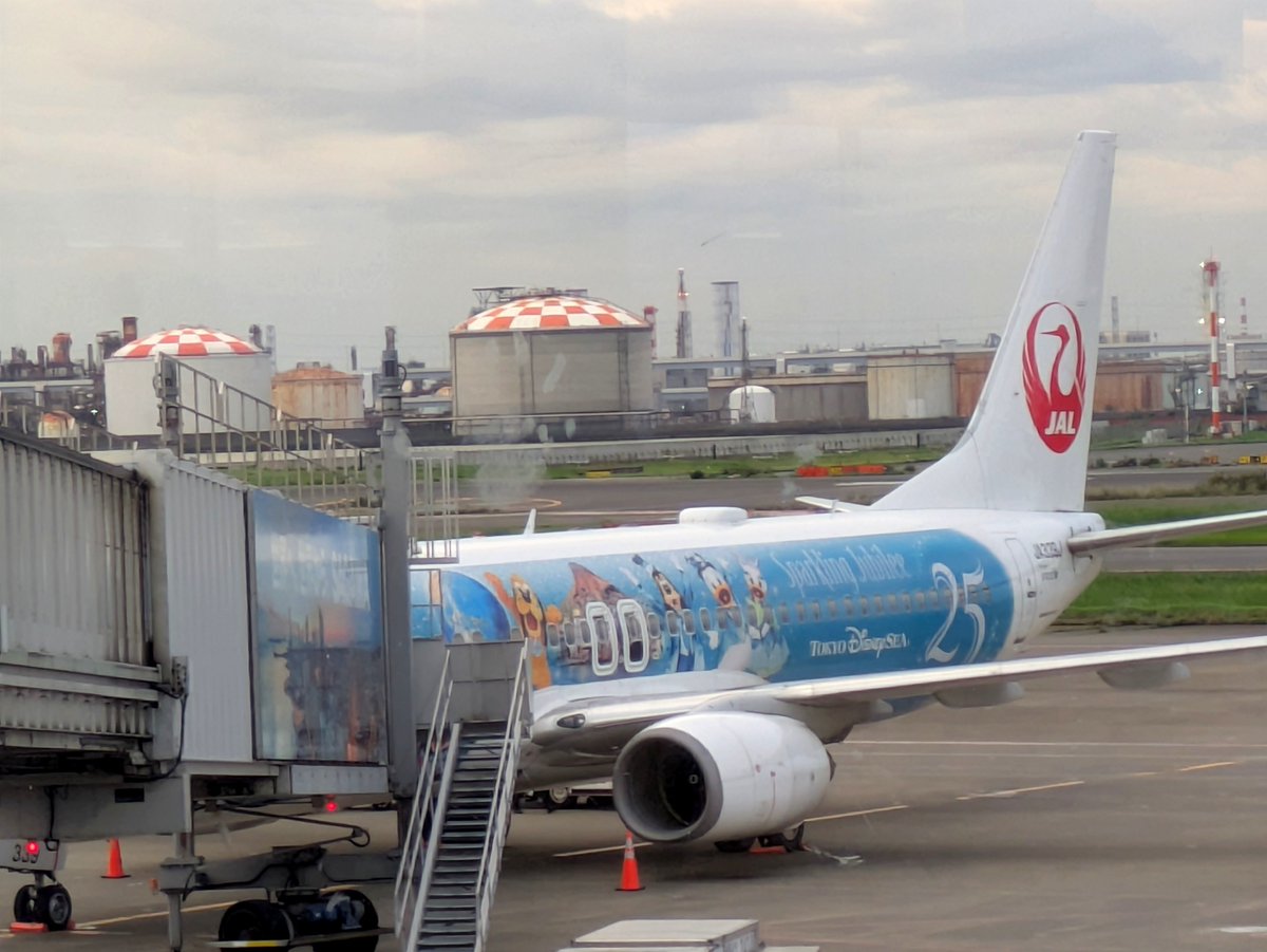 aymm0726's tweet photo. ハピネス機の登場あたり(2013年！)から、遠征のたびに空港かけまわって探して。
ジュビリーJETに乗れる日がくるなんて…と昨日からふるえておりました。　

いってまいります。

#ザスパサポ愛媛遠征
#thespa
#JAL
#JubileeExpress 
#JALJubileeExpress https://t.co/IXIqD4kT3y