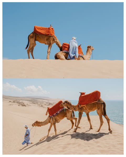 susofuji's tweet photo. Colors from Morocco #fujifilmxt5 https://t.co/HBPdqHhJvC