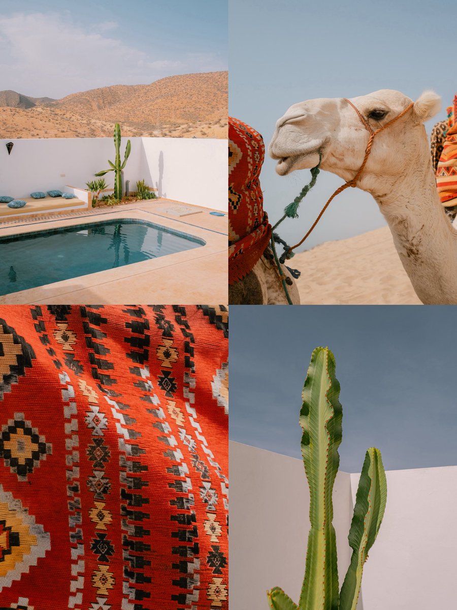 susofuji's tweet photo. Colors from Morocco #fujifilmxt5 https://t.co/HBPdqHhJvC