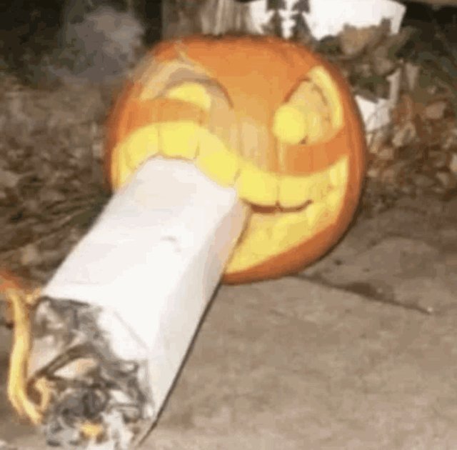 beazncheeze's tweet photo. Is da spooky month
MwahahahaHAHAHAGH-HAGH- oh God my lung cancer https://t.co/6dMEGGkIgM