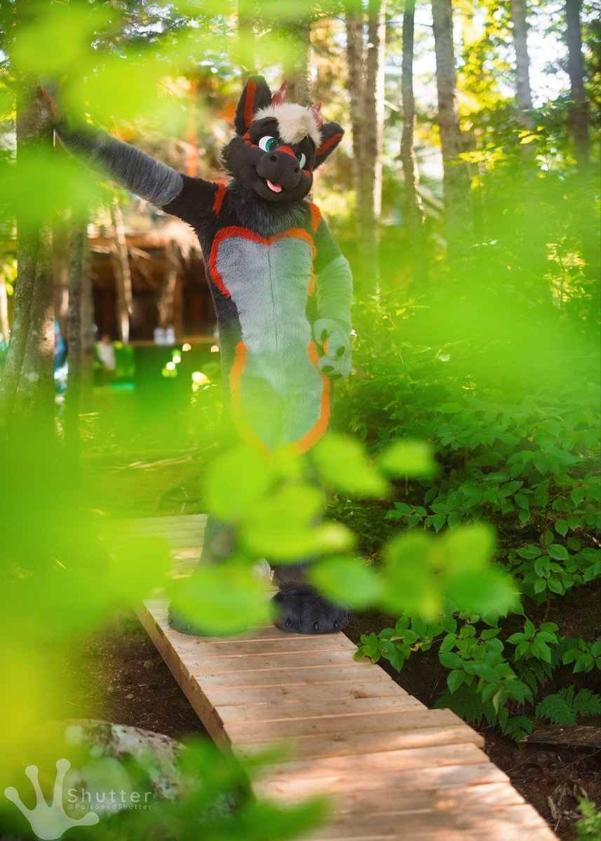 vylederg's tweet photo. pov: you are a scrumptious, ripe fruit on a tree and i have spotted you. #FursuitFriday 

📸: @PoisonedShutter https://t.co/CCHsfxbOt9