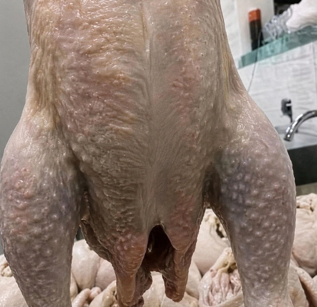 juadsmithgrai's tweet photo. นิยาม "สาวอิสานหีหนังไก่" https://t.co/uhkhM2yqqs