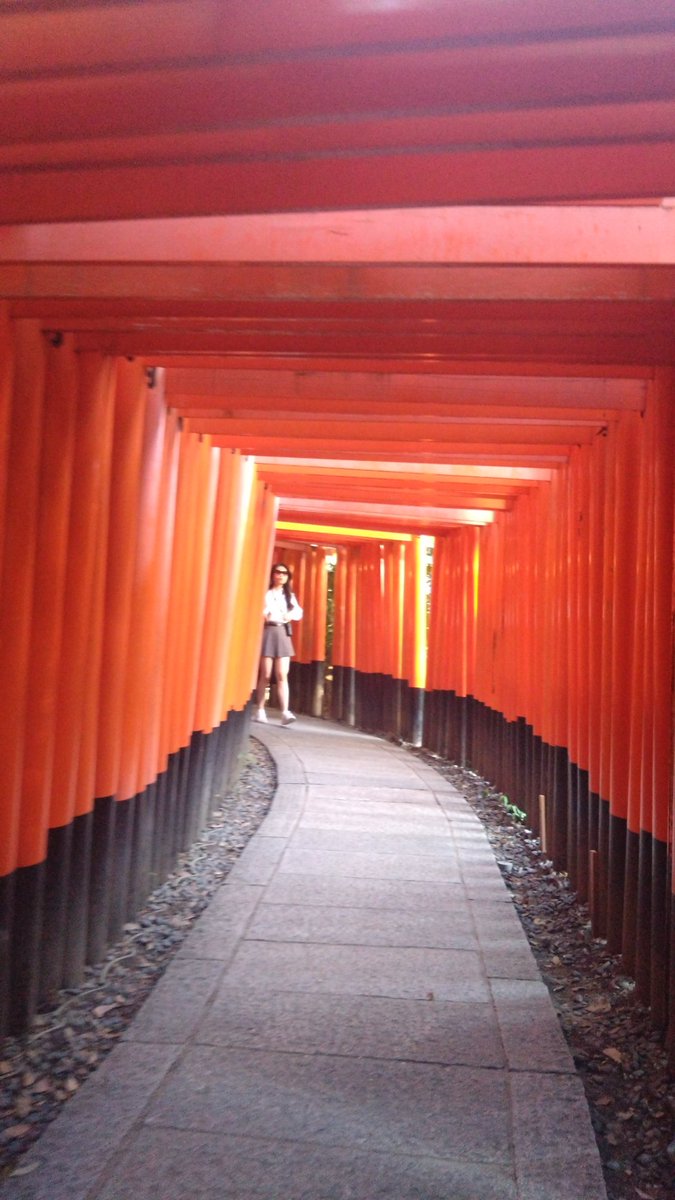 12Fuyu16's tweet photo. 京都⛩️ https://t.co/GncojMakZo