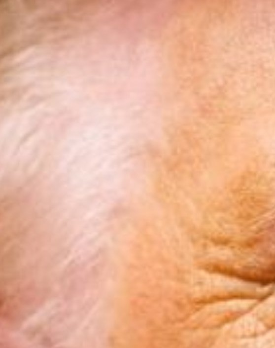WayneWaldropW's tweet photo. Donald Trump's makeup looks like when two deserts with different types of sand meet. https://t.co/9xpTpJUi5t