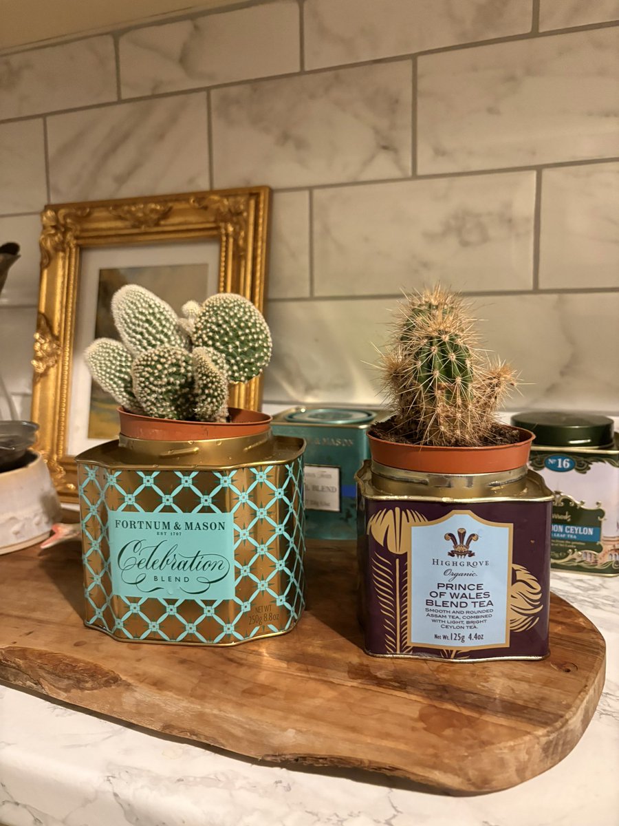 AdamPollock's tweet photo. I have finally found a good use for empty tea caddies https://t.co/1FShBjfYOf