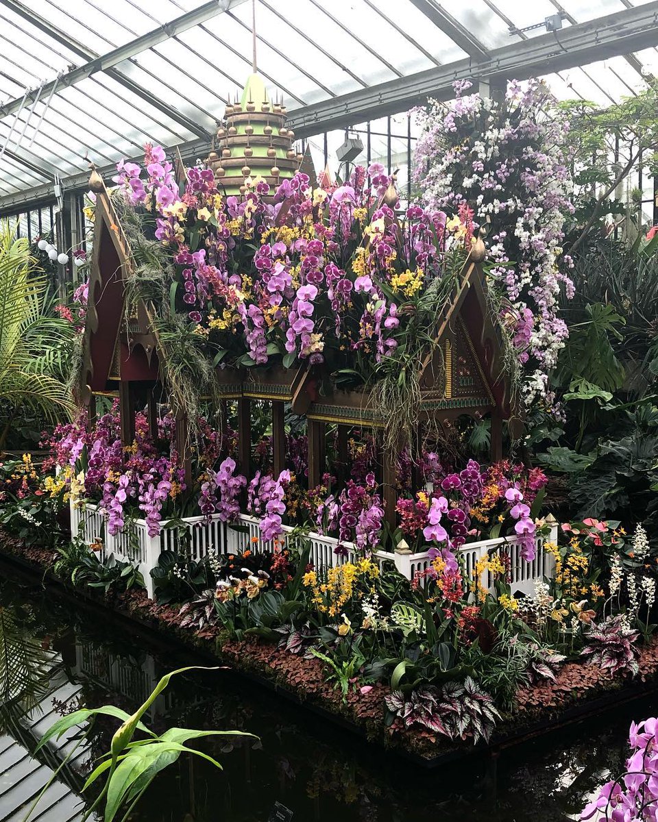 aleliruiz's tweet photo. 🌸 https://t.co/lK3QYPPN1v