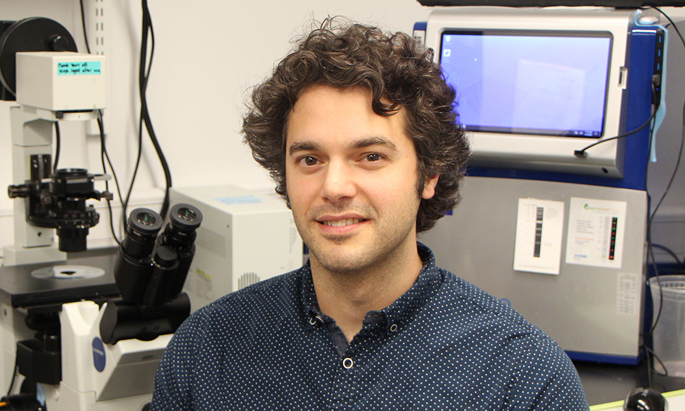 ScienceinBoston's tweet photo. Two @Harvard researchers have been named as a 2026 Schmidt Sciences Polymath. The program supports scientists pursuing high-risk, high-reward research.

Congratulations to... 🥁
Dr. Nick Bellono: https://t.co/rk7QAmfOuw
Dr. Allon Klein: https://t.co/tNDgRgjfpJ https://t.co/vgy0F88i5r
