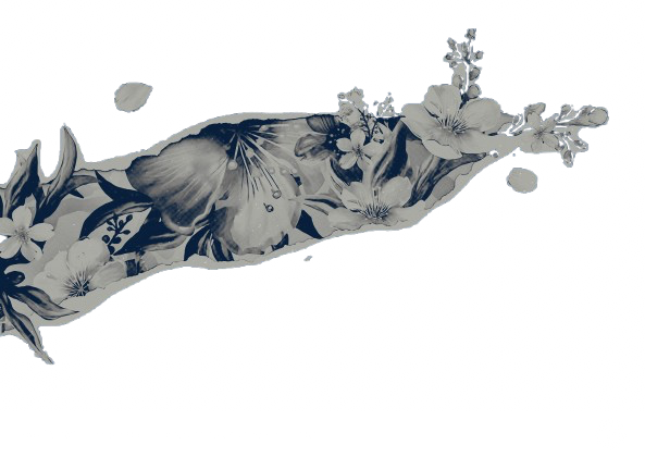 casterlysun tweet picture