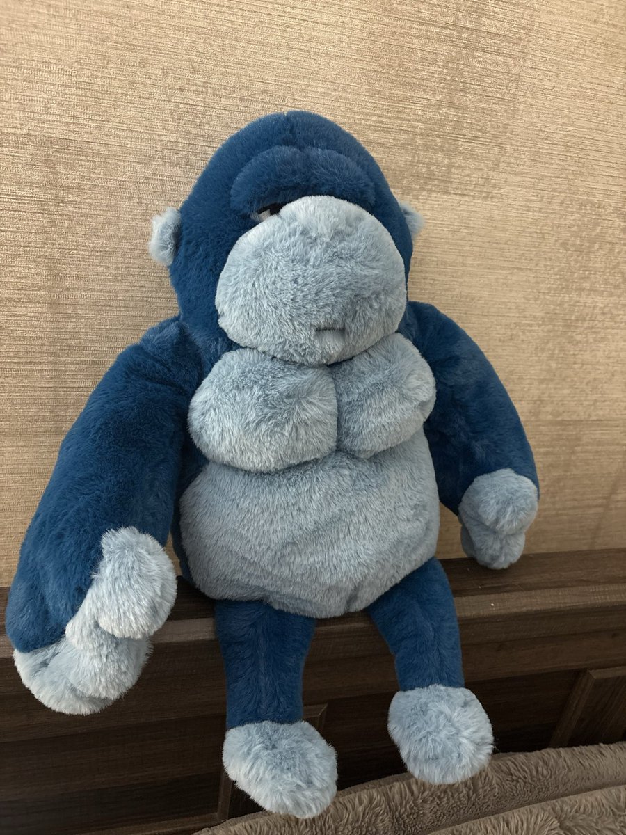scissormountain's tweet photo. I love Ronald McDonald House ❤️ they’re so good to my hospitalized baby and her siblings too. https://t.co/mjH6WMQ7yy