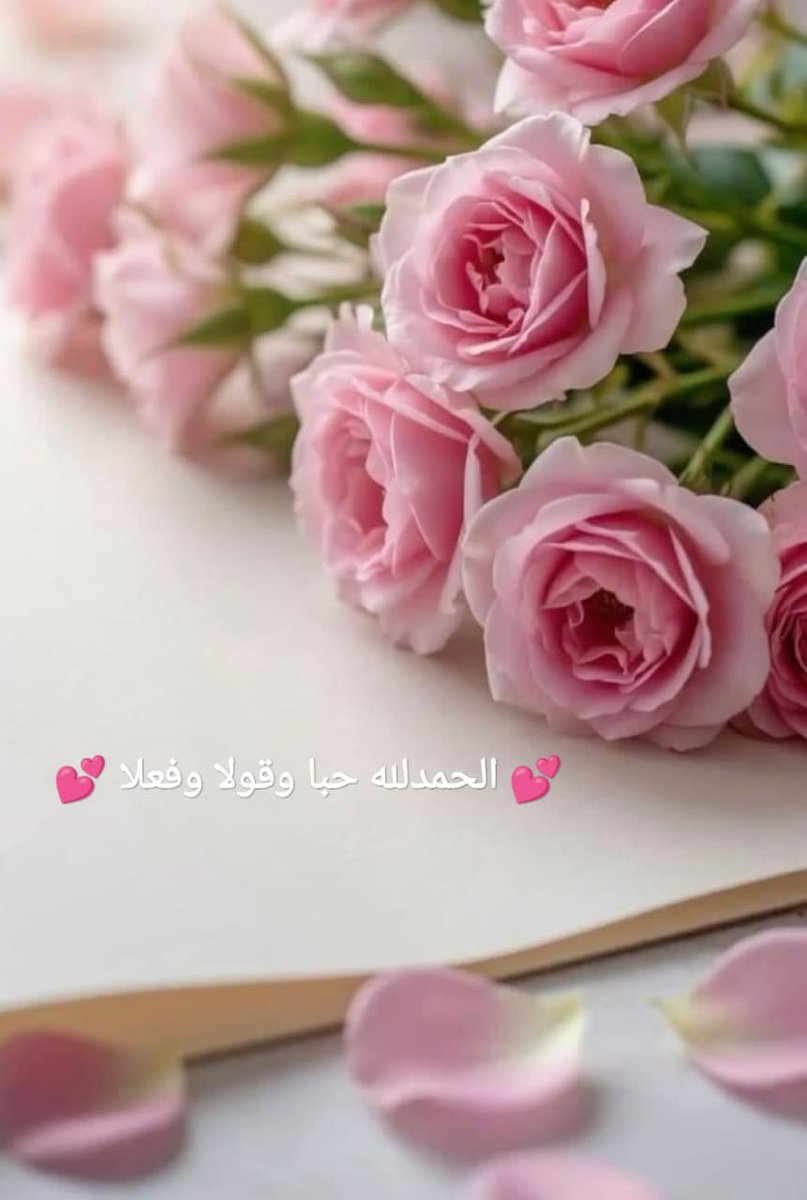 StudySaudi's tweet photo. #يوم_الجمعة 
#يوم_الجمعة_ساعة_استجابه 
كانت وستزال من أجمل أيام العمر بإذن الله
رب لك الحمد والشكر والفضل والمنه على التمام
أختي عروس قلبي وروحي أسأل الله أن يوفقك ويسعدك ويسخر لك زوجك وأهله وملائكة السماء وجنود الأرض ويرزقك الذرية الصالحة التقية ويقر عينك بهم على طاعته ورضاه🤲💗 https://t.co/KuYaRB0vI5