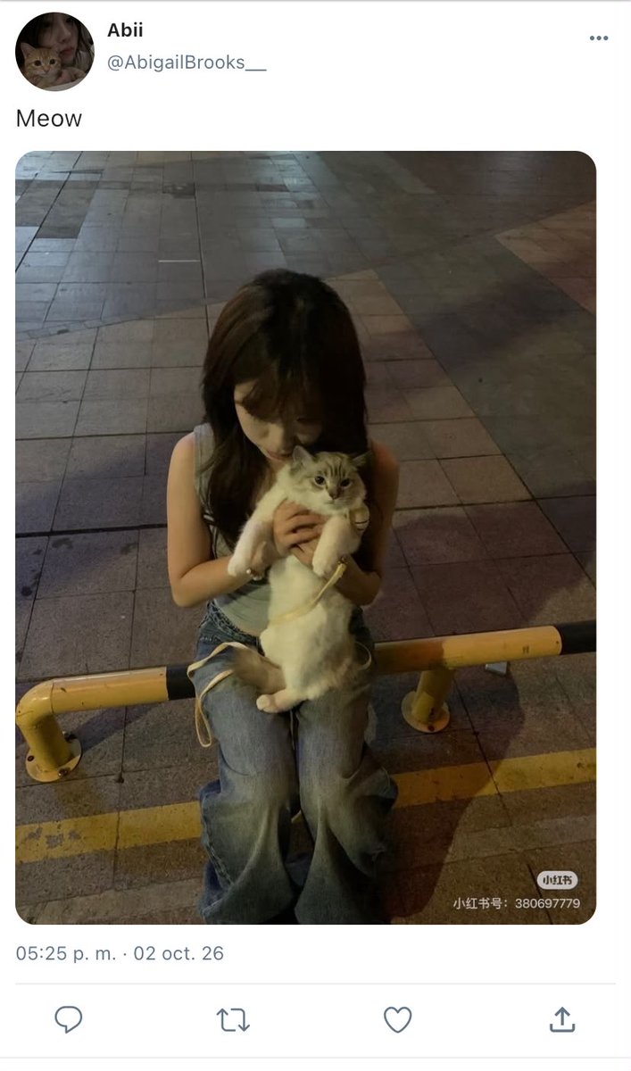 Geraa6k's tweet photo. ☆15☆ https://t.co/bQv5IPh3fd