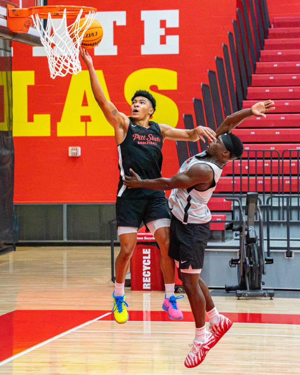 GorillasMBB's tweet photo. We play basketball in 2 weeks‼️

#oagaag || #gorillanation
📸: @T_Conrad18_ https://t.co/G3x0ZIDiMV