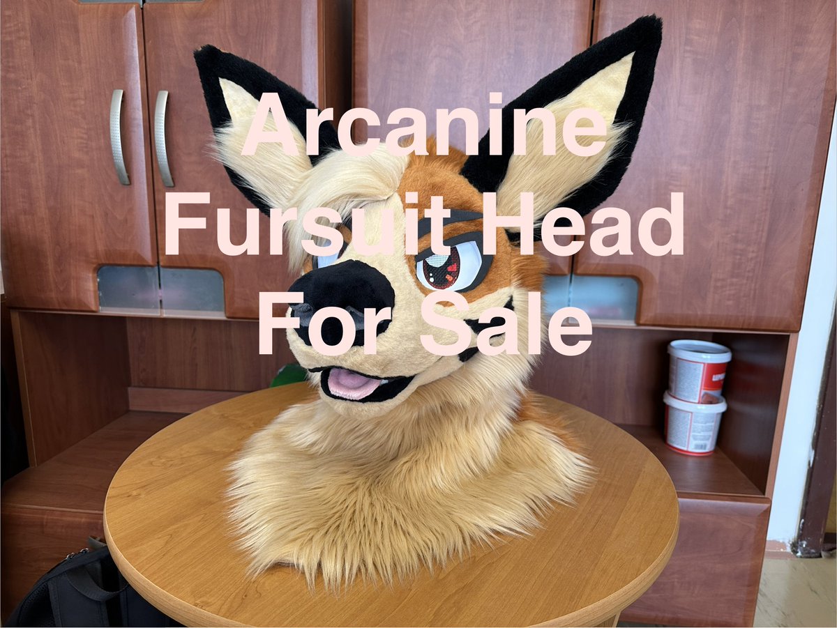 BruceDoggo's tweet photo. Selling my unused Arcanine fursuit head, more informations in the auction link below. Any reposting are appreciated thank you so much🥰

https://t.co/gNX9M2jEbZ https://t.co/PRtoHj9tOX
