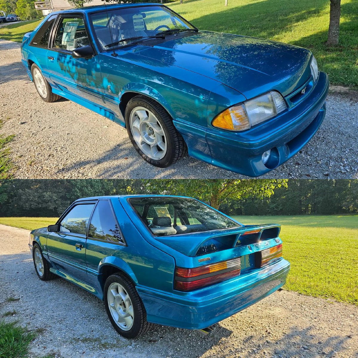 Bringatrailer's tweet photo. Showroom-fresh snake in a peak 90s color!

https://t.co/HiWbS6hnWR https://t.co/5KVErS2xPw