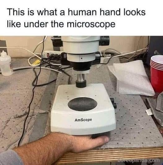 McCainStateFarm's tweet photo. #dadjokes #bradjokes #funfriday #microscope https://t.co/YqiyOx9iYJ