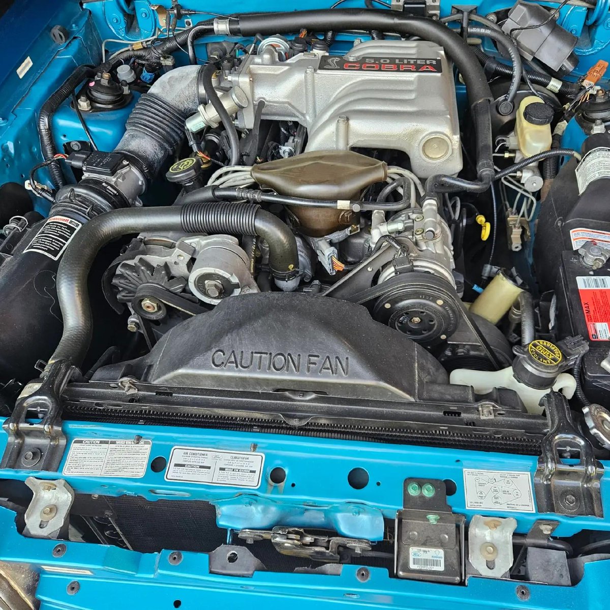 Bringatrailer's tweet photo. Showroom-fresh snake in a peak 90s color!

https://t.co/HiWbS6hnWR https://t.co/5KVErS2xPw