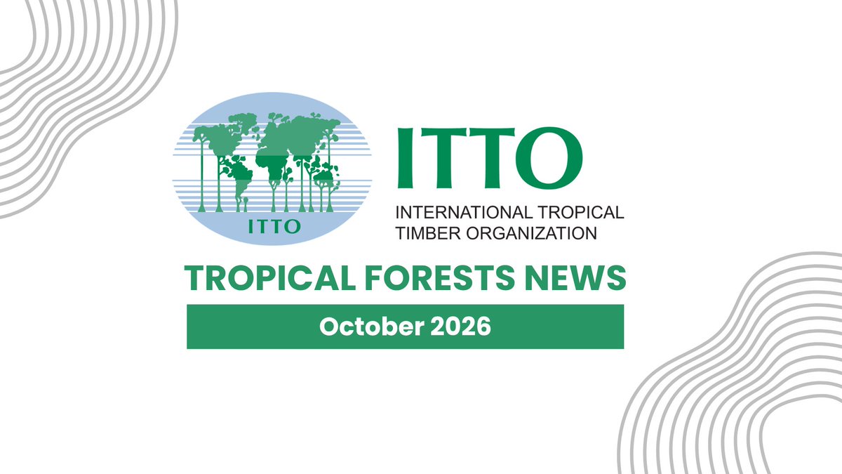itto_sfm's tweet photo. The October 2026 issue of Tropical Forests News is now available.

Read the full issue: https://t.co/5UpAb1d1eu

📮 Subscribe to ITTO’s mailing list: https://t.co/jGfQoZ2HvK https://t.co/lCHGQUN0pI