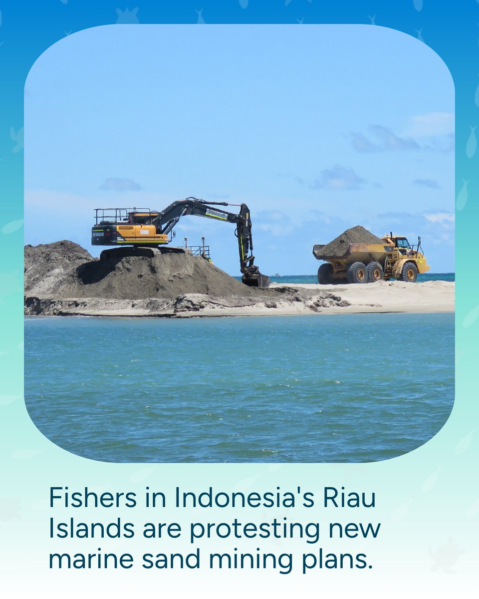 Wave_Browser's tweet photo. Fishers in Indonesia's Riau Islands are standing up for the waters their families depend on.

New marine sand mining plans have sparked protests over the risks dredging poses to coral reefs, water clarity, and local fish populations. With lawmakers now backing fishing and tourism zones, the community's voice is starting to carry.

Sand is one of the most heavily extracted resources on the planet, and coastal communities are often the first to feel the impact. Stories like this are a reminder that protecting the ocean starts with the people who know it best.

Follow Wave Browser for more ocean news worth knowing. 🌊

#WaveBrowser #OceanConservation #MarineConservation #CoralReefs #OceanNews