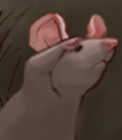 RukirWithCheese's tweet photo. To be specific, he names 130 different Rats. 129 in his abilities and 1 more in his Victor conversation. God bless the Rat King https://t.co/uwdI02MAnT