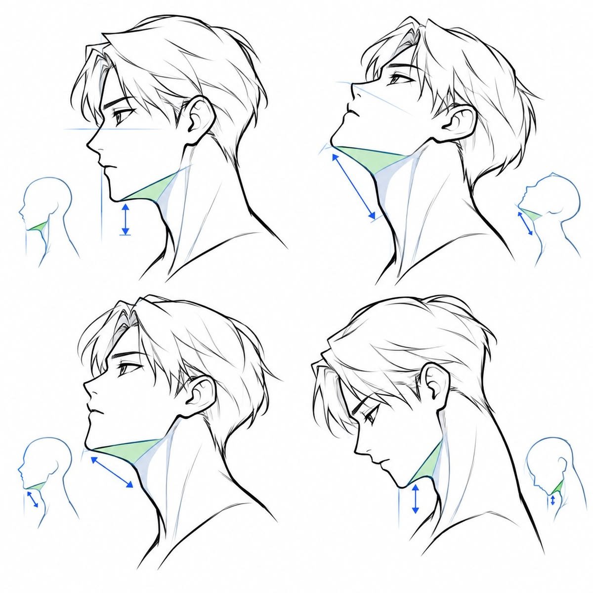 ezdrawps's tweet photo. Neck anatomy reference https://t.co/7cFbv13HGd