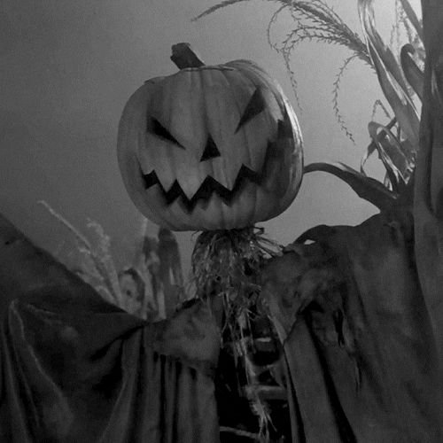 SkullyJGraves31's tweet photo. ˙•∘🎃𝑈𝑚 𝑝𝑟𝑎𝑧𝑒𝑟 𝑐𝑜𝑛ℎ𝑒𝑐𝑒̂-𝑙𝑜𝑠, 𝑚𝑒 𝑐ℎ𝑎𝑚𝑜 𝑆𝑘𝑢𝑙𝑙𝑦 𝐽. 𝐺𝑟𝑎𝑣𝑒𝑠, 𝑜 𝑚𝑎𝑖𝑜𝑟 𝑎𝑝𝑟𝑒𝑐𝑖𝑎𝑑𝑜𝑟 𝑑𝑜 𝑚𝑒𝑙ℎ𝑜𝑟 𝑓𝑒𝑟𝑖𝑎𝑑𝑜 𝑞𝑢𝑒 𝑒́  𝑜 𝐻𝑎𝑙𝑙𝑜𝑤𝑒𝑒𝑛 🎃∘•˙

//Conta RP https://t.co/WhDkBmIDIU