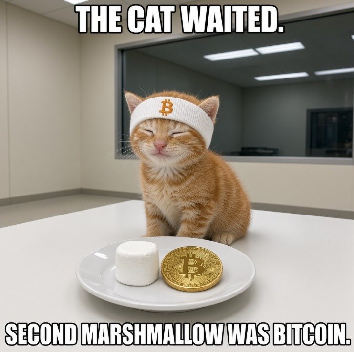 BTCbuythecat's tweet photo. Stanford marshmallow experiment:

Can kids wait 15 mins for an extra marshmallow, or will they just eat the one in front of them now & forego the delayed rewards?

Kids who waited for the delayed rewards ended up scoring better on just about all life measures (bmi, education, wealth etc).

99.9% of memecoiners would fail the experiment.

The majority of Bitcoiners would pass.