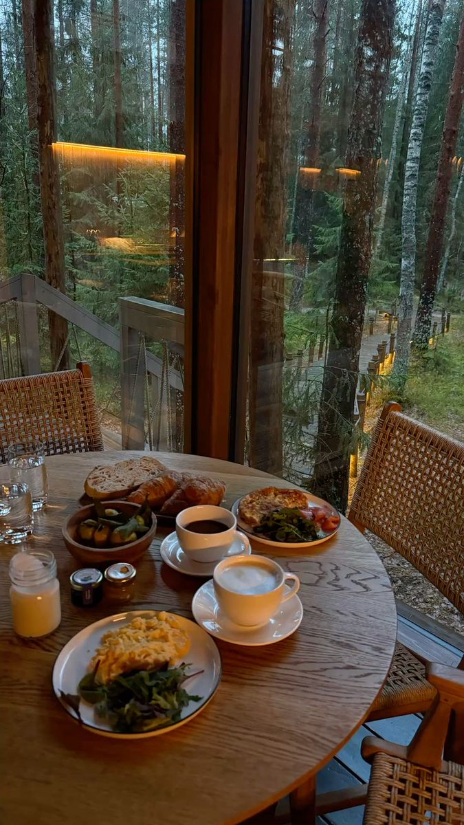 greenvibe's tweet photo. Not a morning routine. a quiet escape. https://t.co/xB0k1AsZNL