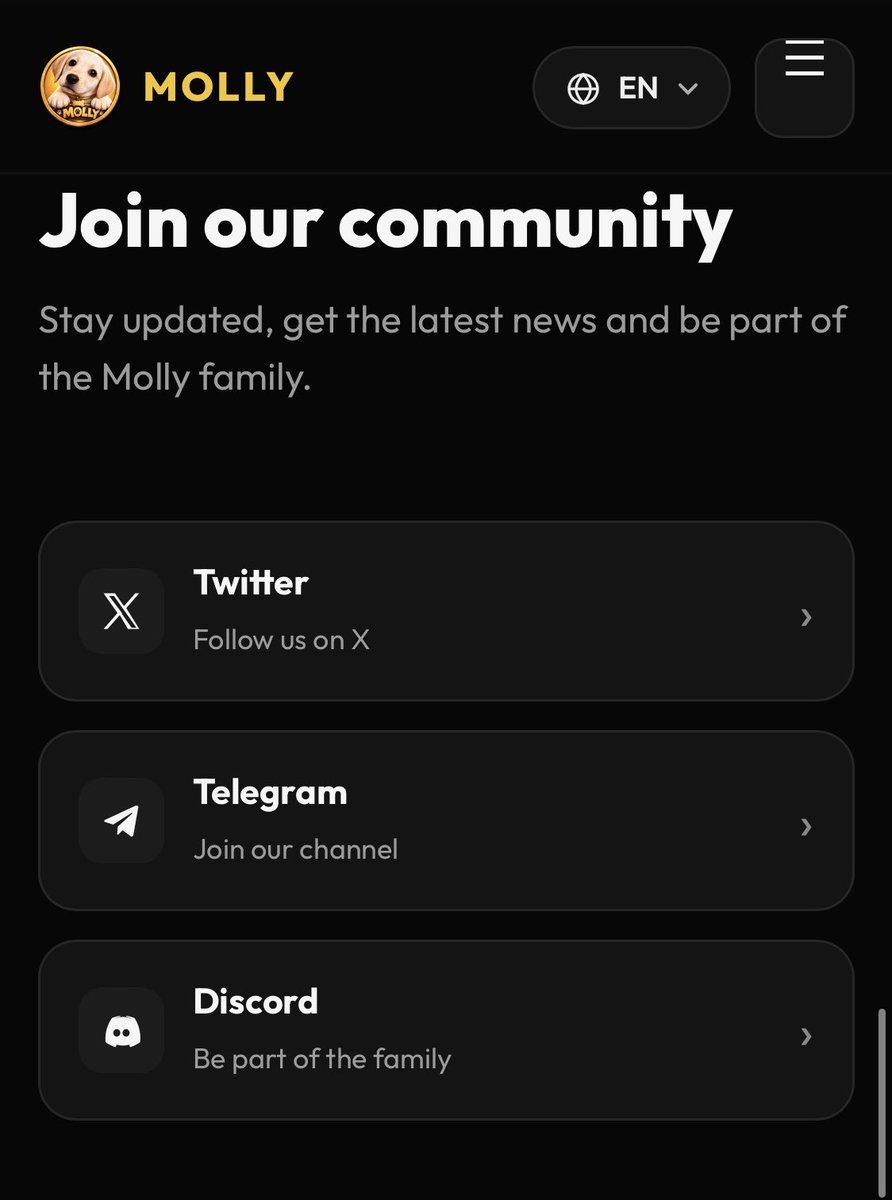 DevMollycoin's tweet photo. The website is already taking shape. We’ve been going back and forth on tiny details most people will probably never notice - but we notice them. Colors, animations, mobile experience, little details everywhere. Molly deserves more than a rushed launch. #Crypto https://t.co/YJx6worY18