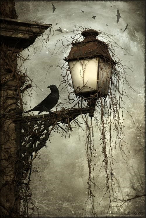 twilight_art's tweet photo. アーサー・ラッカム《街灯の上の鳥》 https://t.co/X9AUKDqbnS