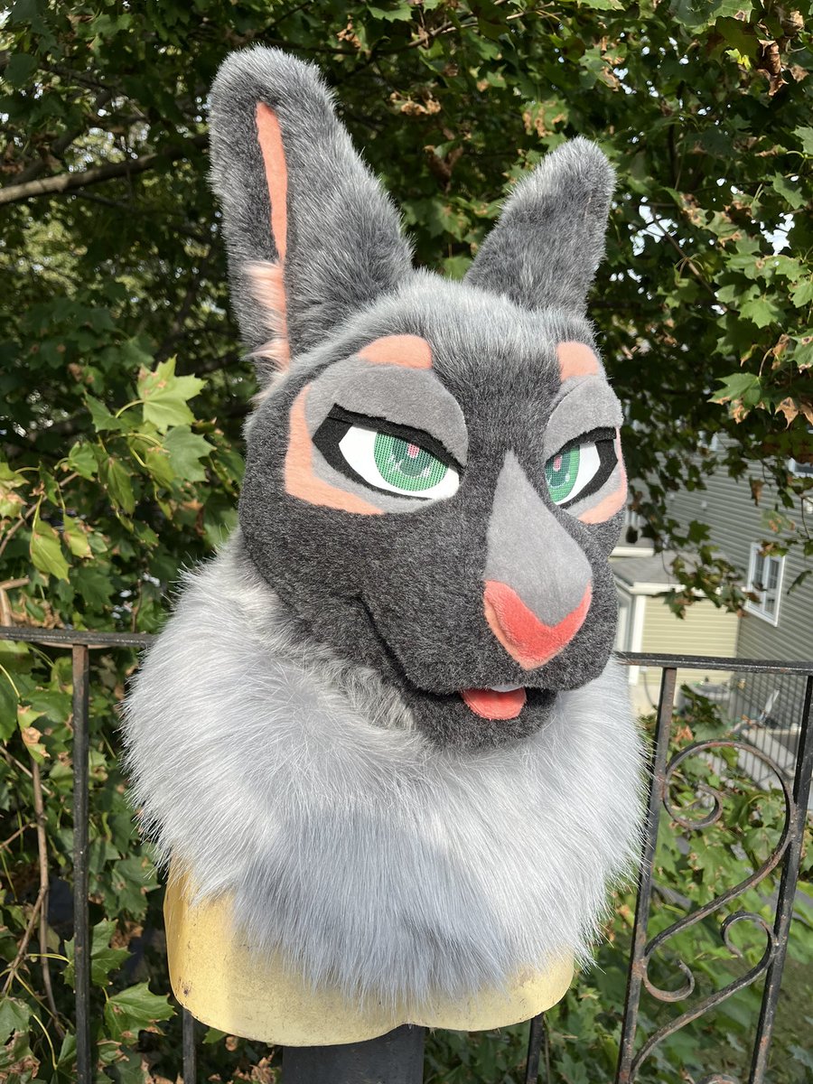 splashSWS's tweet photo. PREMADE FURSUIT HEAD FOR SALE ‼️ 

Fursuits head + free tail if claimed in the first 72 hrs 

$1,850 + ship! Be bunny!!

DM for questions/ purchase 

#fursuit #fursuitforsale https://t.co/TT0XQfqU12