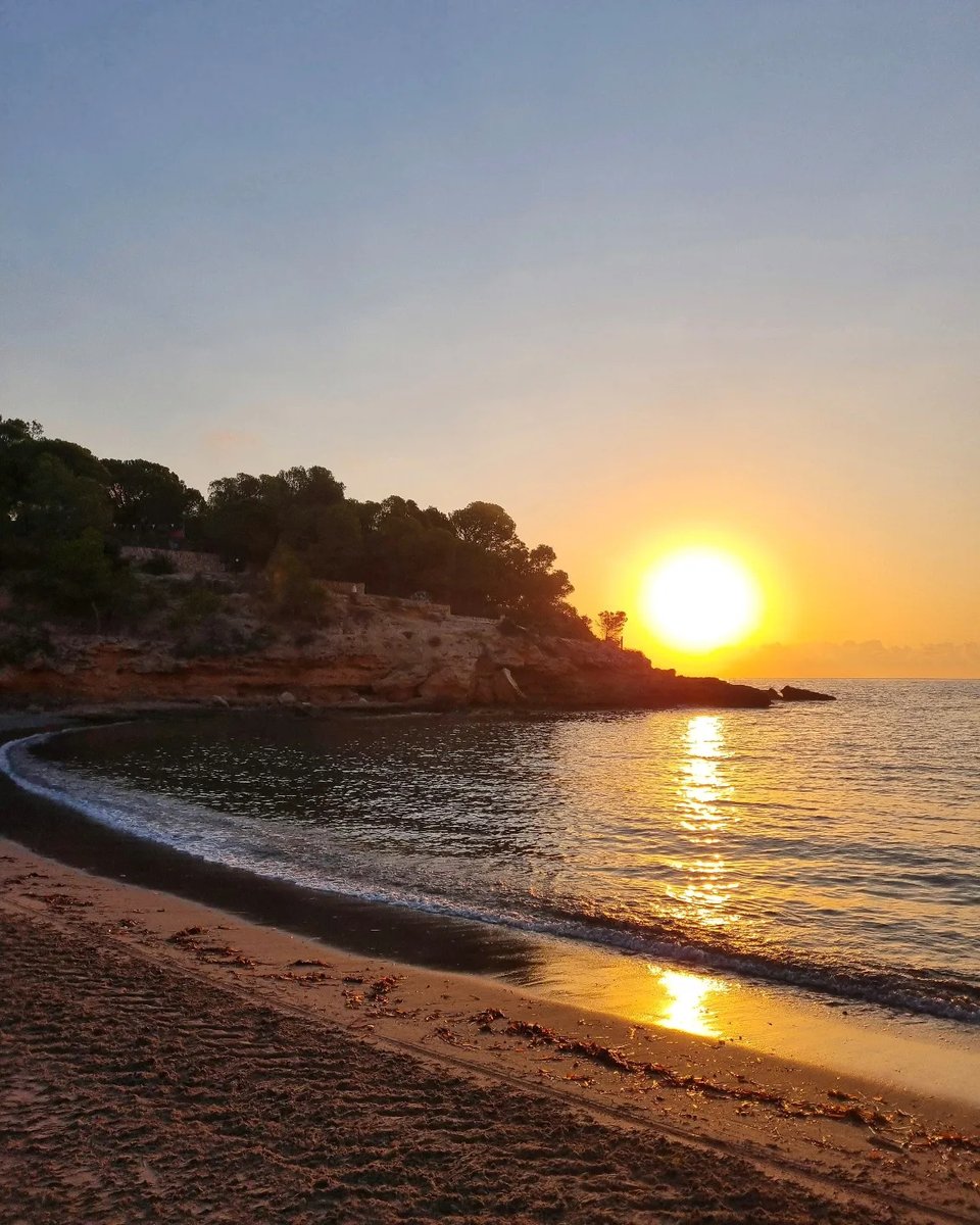 kriptolog's tweet photo. Sun, sea, and nature. https://t.co/JFS7lv99zo